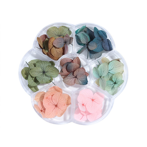 Color Nail Dry Flower